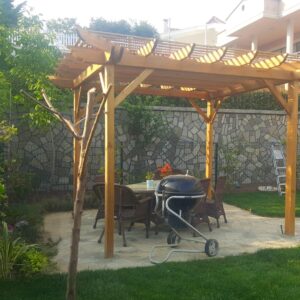 Izgaralı Kamelya 3×3 M