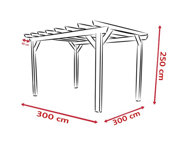 Izgaralı Kamelya 3×3 M - Görsel 2
