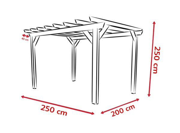 Izgaralı Kamelya 2×2,5 M - Görsel 2